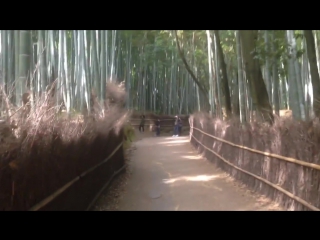 1280x720 - 2017 5 3 bamboo grove arashiyama kyoto japan - youtube big tits